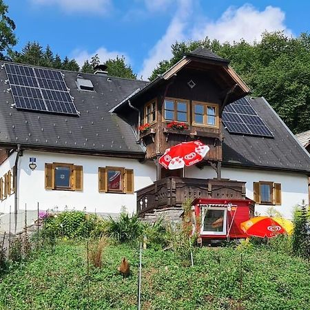 Ferienhaus Beringer Am Kallbach Traunkirchen Exteriér fotografie
